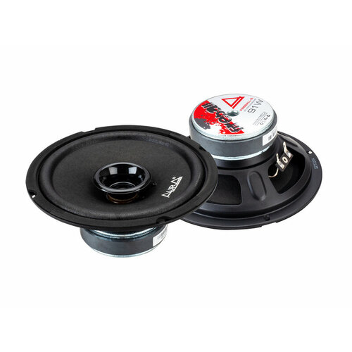 Акустика Aura Fireball-6 165см 2-х полосная 91Вт 249000₽
