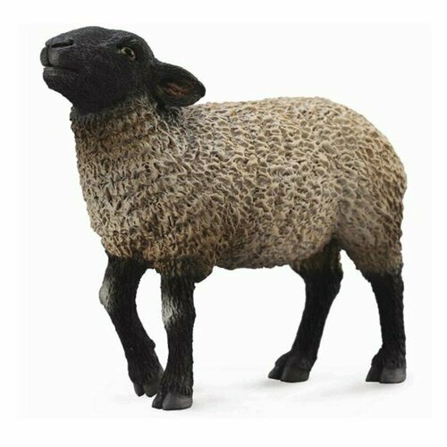 Collecta Овца Суффолк М 88636b с 3 лет 3d пазл овца