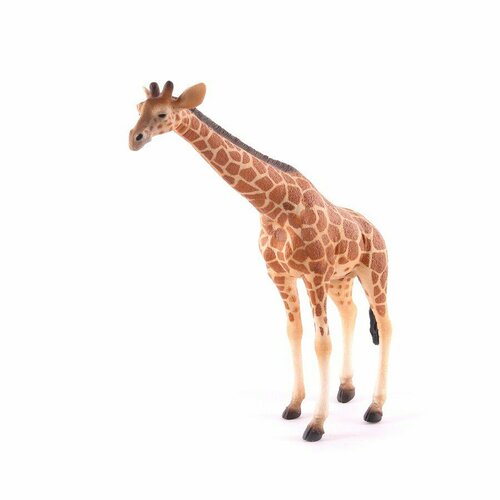 Collecta Сетчатый жираф XL 88534b с 3 лет фигурка collecta сетчатый жираф 88534 15 5 см