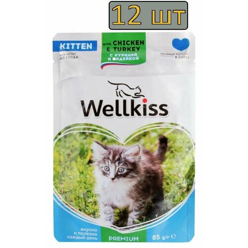 12 штук Wellkiss Kitten Влажный корм (пауч) для котят, с курицей и индейкой в соусе, 85 гр