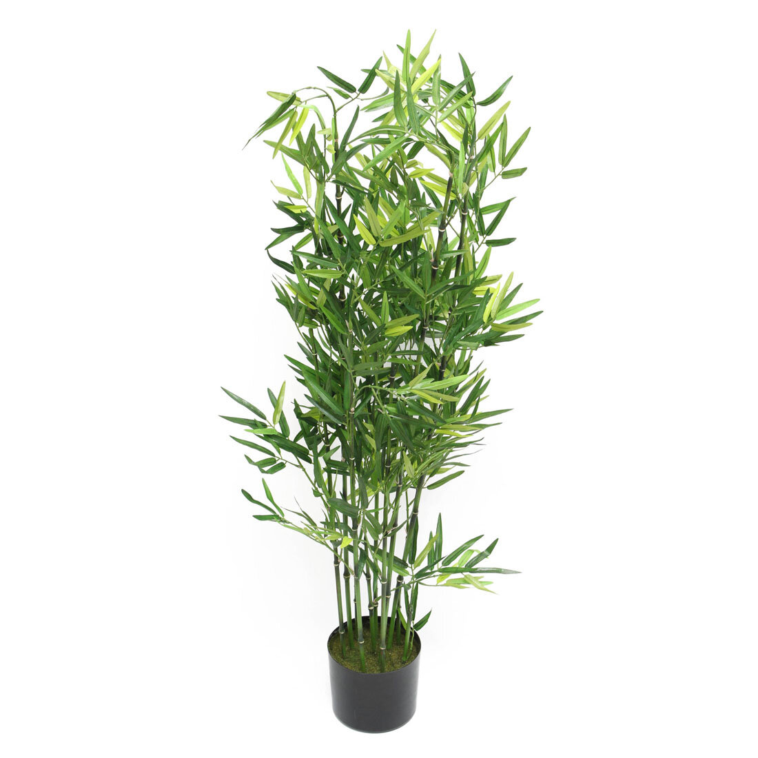 Бамбук в горшке фото Предмет декоративный Bamboo, KARE Design, коллекция "Бамбук" 40*200*20, Полиэтил
