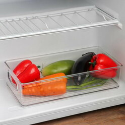 BEROSSI Контейнер для холодильника Berkana, 31,2×15,2×7,5 см, цвет прозрачный