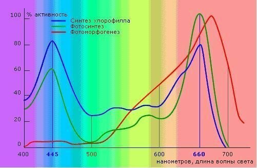 Изображение Гринхаус-нано поликарбонат сотовый для теплиц 4мм 2100х6000мм стандарт / GREENHOUSE-NANO поликарбонат сотовый тепличный для сельскохозяйственных объек