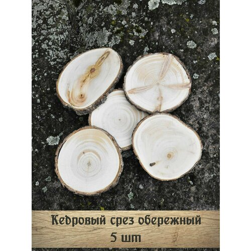 Кедровый срез (5 шт)