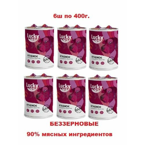 Консервированный корм Lucky bits для собак всех пород с 6 месяцев с ягненком, брокколи и шпинатом, 6шт по 400 г