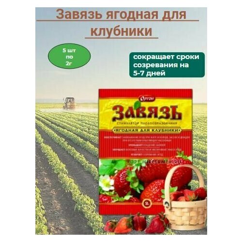 Стимулятор плодообразования Завязь Ягодная для клубники 5 шт по 2г завязь ягодная д клубники 2г