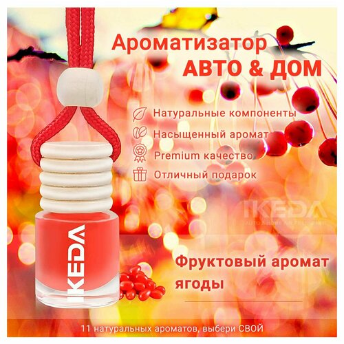 Ароматизатор Ikeda Scents Ягодный аромат (Berry) Air Fresheners для автомобиля и дома 2 шт.