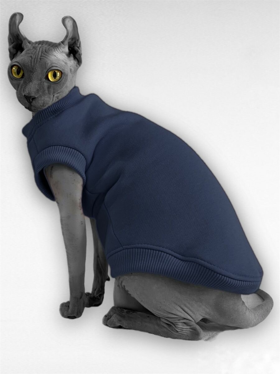 Свитшот, теплый свитер для Сфинксов Кошки Кота - фотография № 3