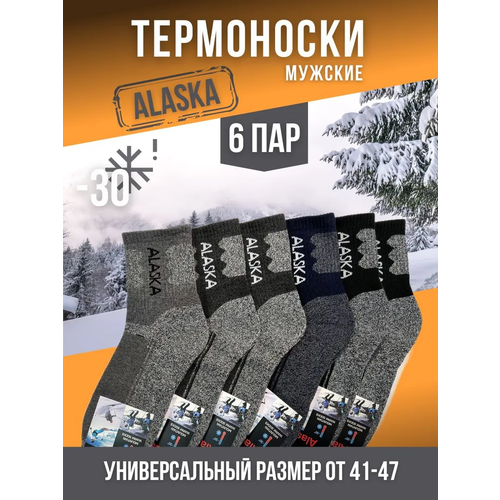 Мужские термоноски Alaska, 6 пар, размер 41/47, серый