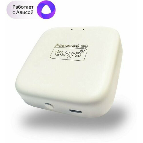 WIFI конвертер Denkirs SMART DK7400-WF