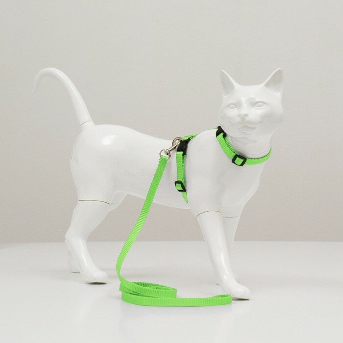 Комплект для кошек, ширина 1 см, ОШ 16,5-27 см, ОГ 21-35 см, поводок 120 см, зелёный