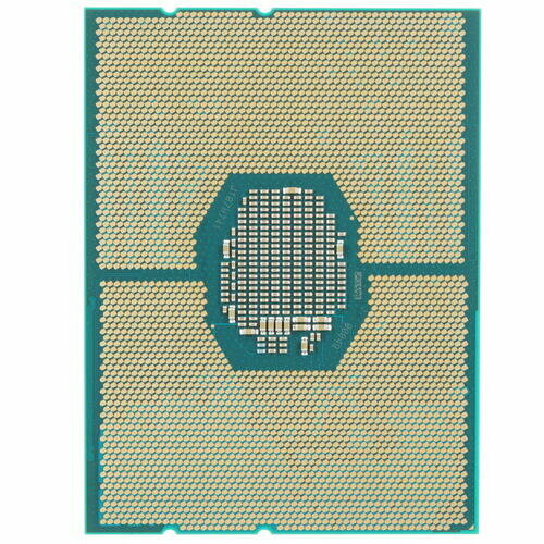 Процессор Intel Xeon Gold 6240R ОЕМ (CD8069504448600SRGZ8) - фото №13