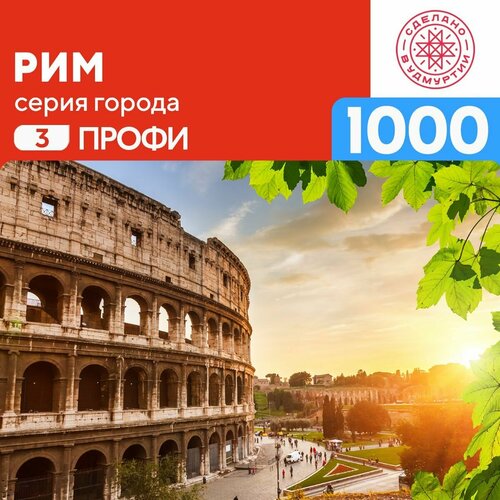 Пазл Рим 1000 деталей Профи