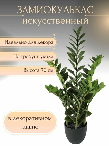 Замиокулькас искусственный цветок для декора — купить в интернет ...
