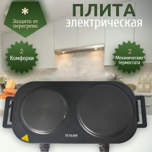 Плита электрическая дисковаяПлитка дисковая 559000₽