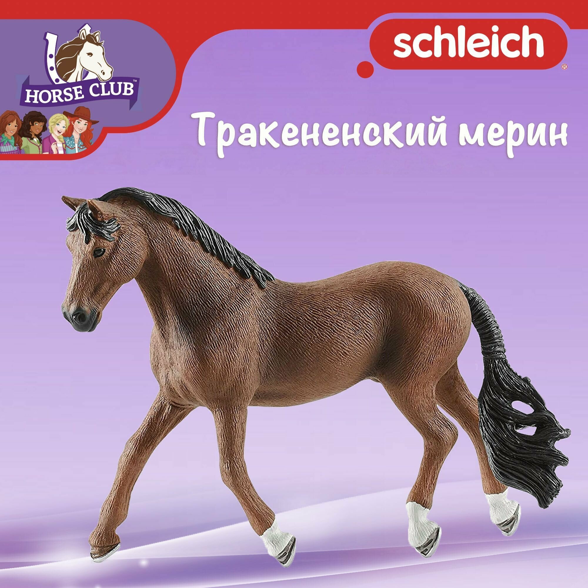 Фигурка Schleich Тракененский мерин 13909, 10 см - фото №4