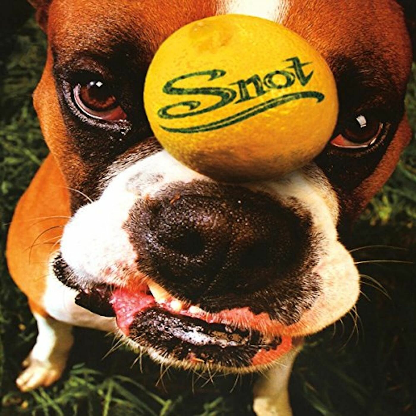 0600753795965, Виниловая пластинка Snot, Get Some IAO - фото №1
