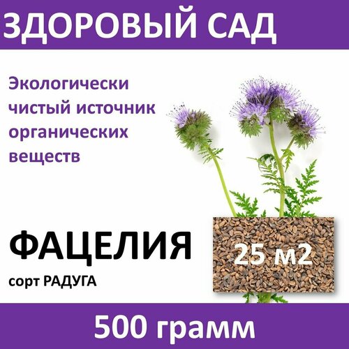 здоровый сад семена фацелия 1 кг 4607160333106 Семена сидерата Фацелия здоровый САД , 0,5 кг