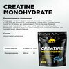 Фото #2 Креатин Моногидрат PRIMEKRAFT Creatine Monohydrate Micronized, Pure (Без вкуса), 500 гр / 100 порций