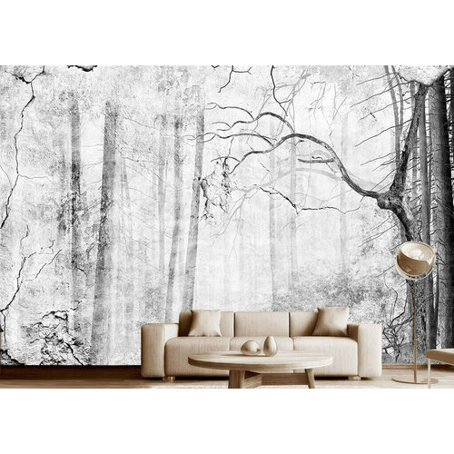 Фотообои на стену 