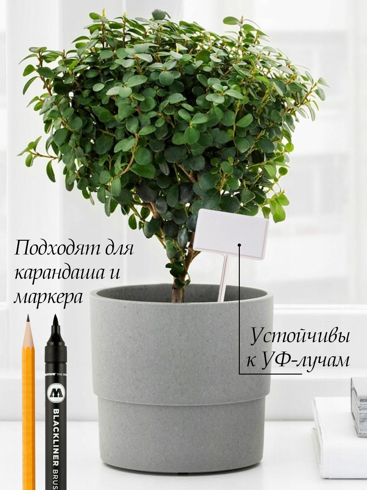 Набор табличек садовых для растений, пластик, h 13 см, d 5 см, 30 шт. — фото 1