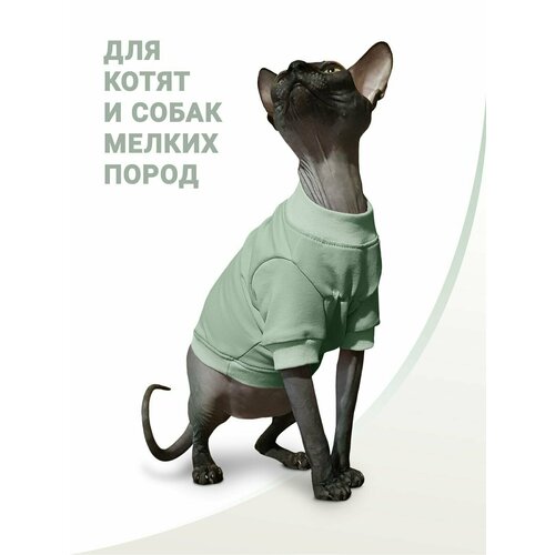 Толстовка одежда для кошек и котят Мотылек / сфинкс / для собак мелких пород