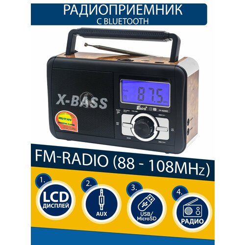 Радиоприемник EPE FP-920RC 139300₽