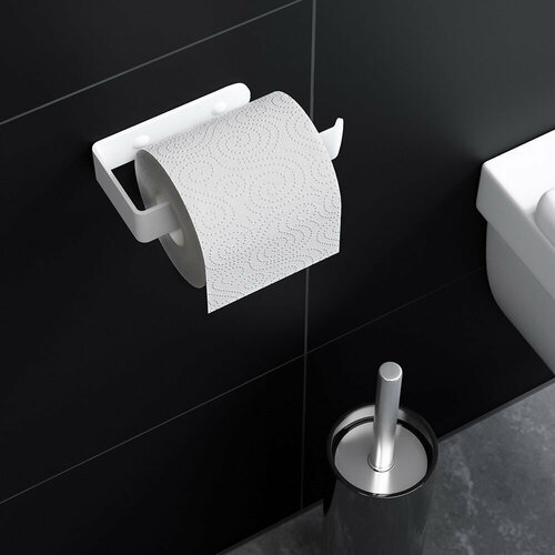 Держатель для туалетной бумаги Граф Держалкин сталь белый (GDD-003-б)