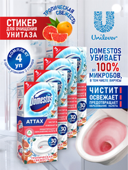 Domestos Стикер для очищения унитаза Тропическая свежесть 30 гр. 3 шт./упак. х 4 упак.