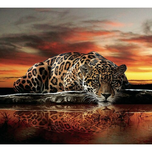 Панно декоративное FLIZETTO Хищник на закате 3*2,7 м