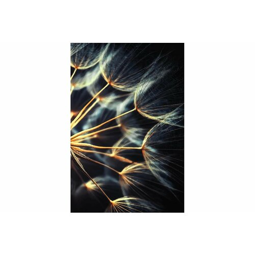 Картина на стекле ARTABOSKO одуванчик 40x60 OM-02-55-04