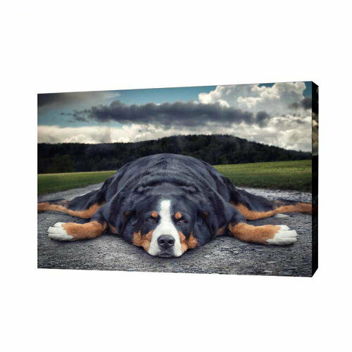 Картина на холсте Пес на дороге, 50х70 см