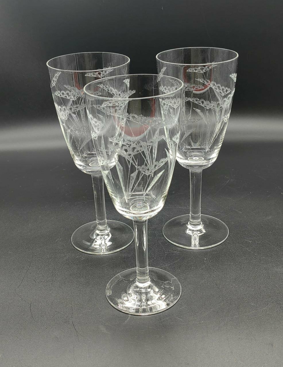Набор бокалов для вина, украшенных растительными элементами (3 шт.), стекло