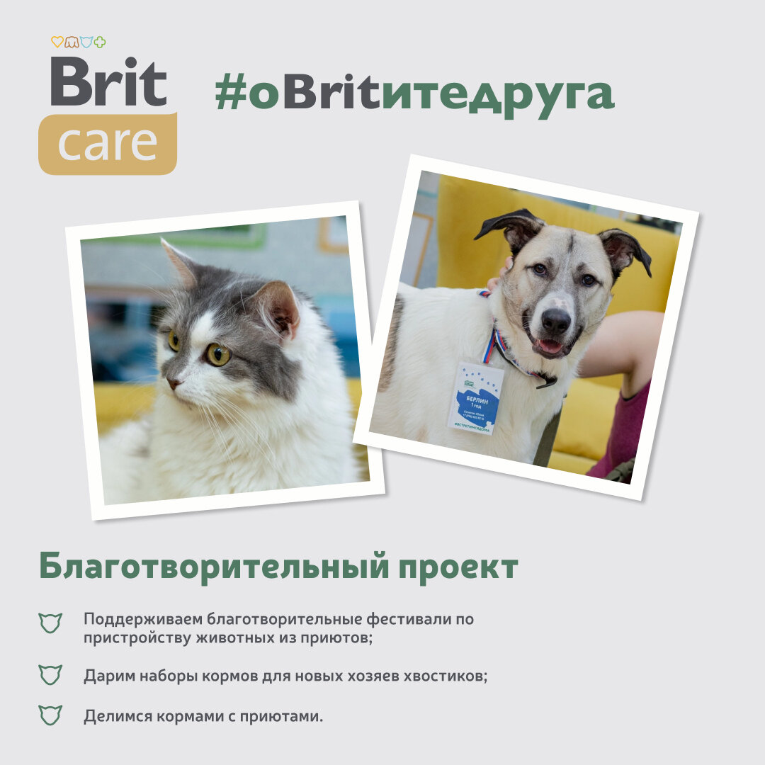 Влажный корм для кошек BRIT - фото №8