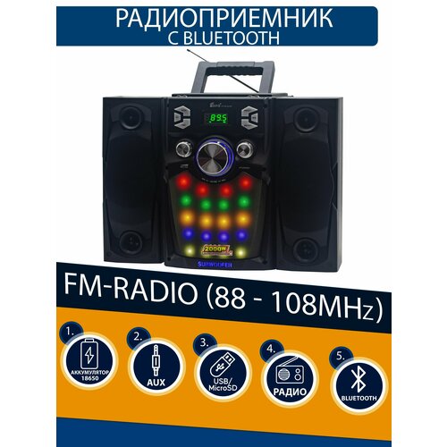 Радиоприемник EPE FP-8210 USBmicroUSBBluetooth black 572200₽