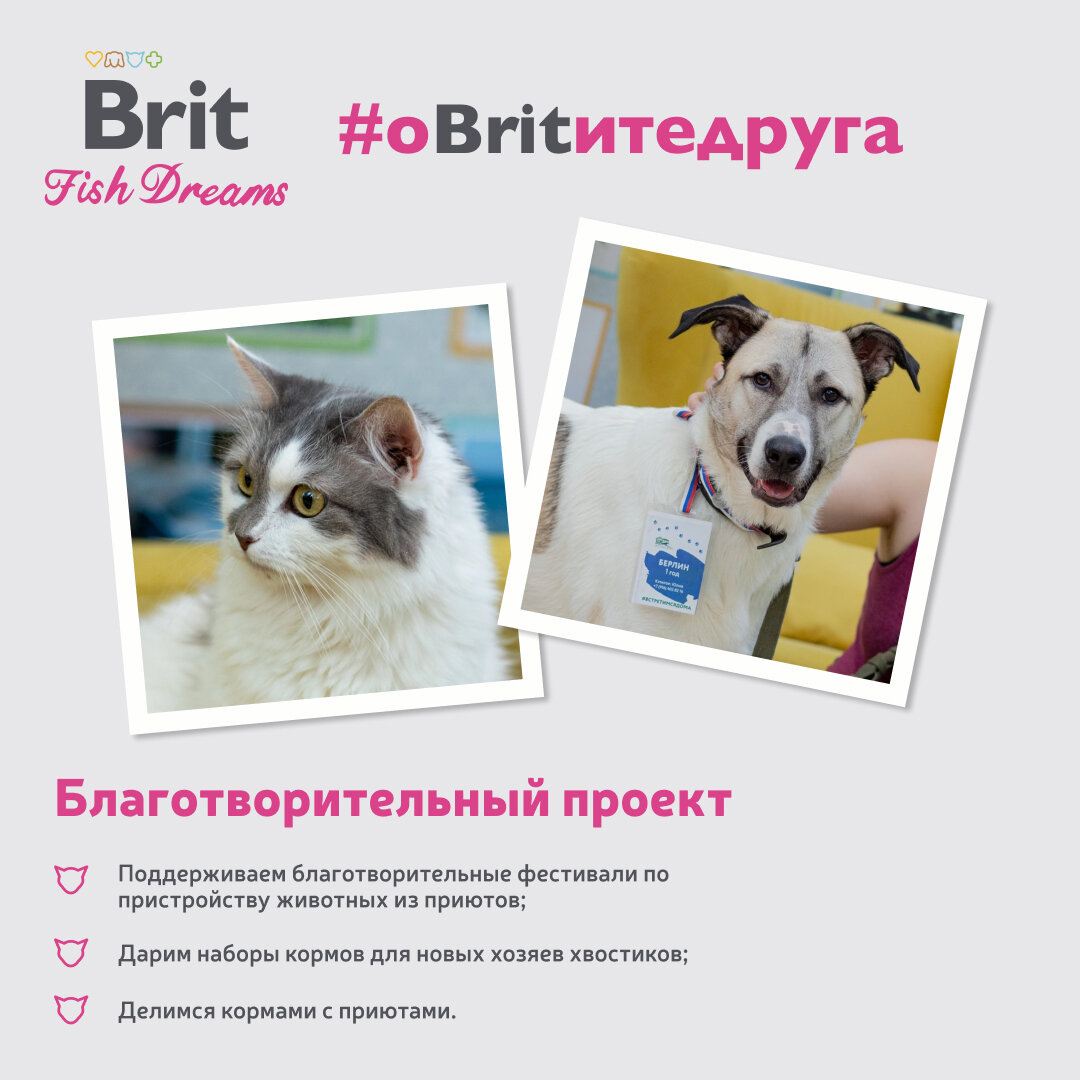 Влажный корм для кошек Brit Care тунец, морковь и горошек 12 шт. х 80 г (мини-филе) консервы (Fish Dreams) - фотография № 17