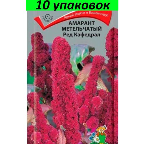 Семена Амарант метельчатый Ред Кафедрал 10уп по 0,1гр (Поиск)