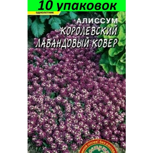 Семена Алиссум Лавандовый ковер Королевский 10уп по 0,05г (Цвет сад)