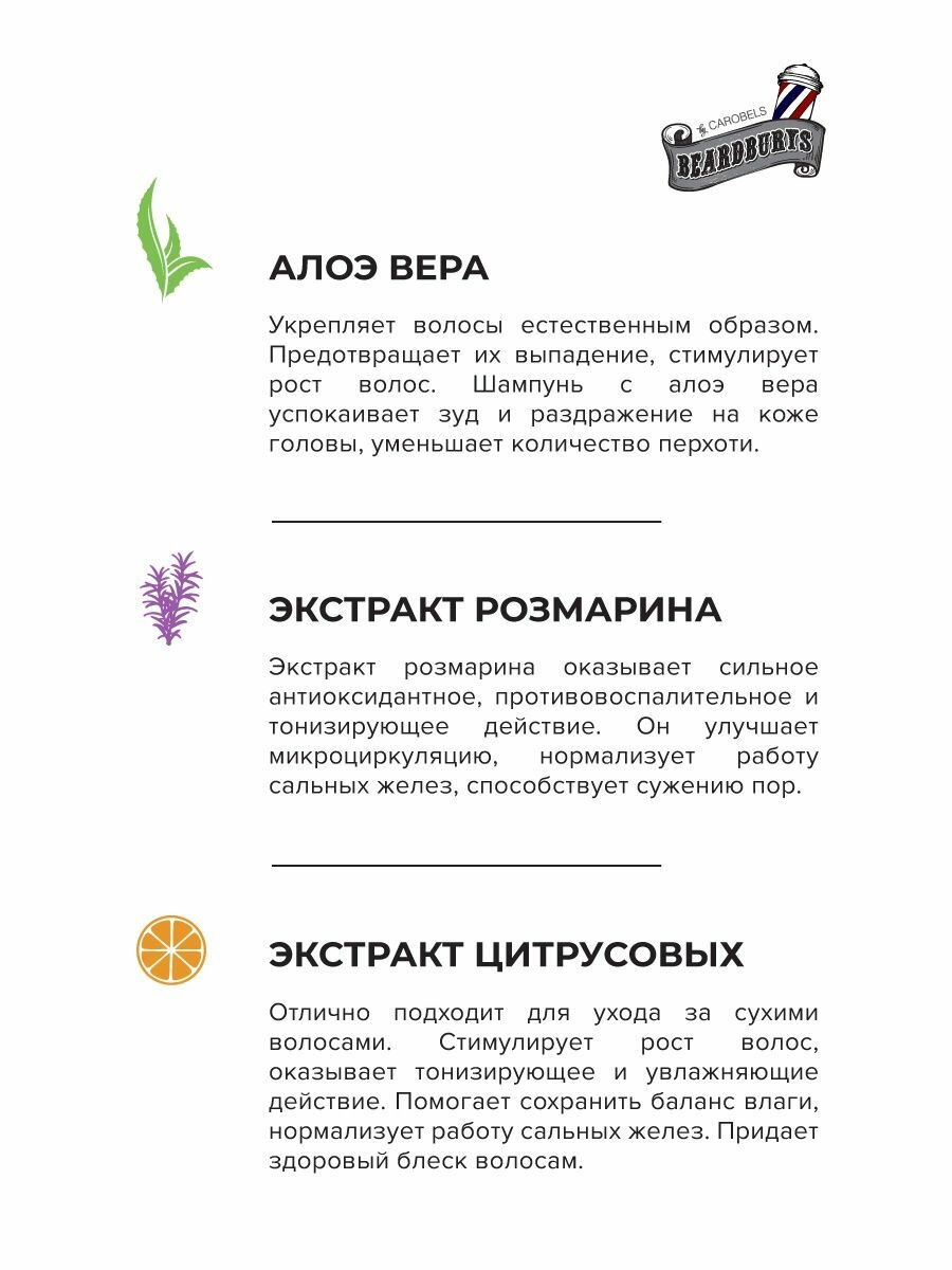 Beardburys Мужской шампунь для волос, кондиционер для волос, гель для душа 3 в 1, 100 мл — фото 1