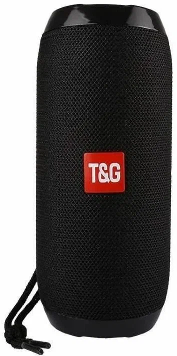 Портативная акустика T&G TG-117 RU 10 Вт черный