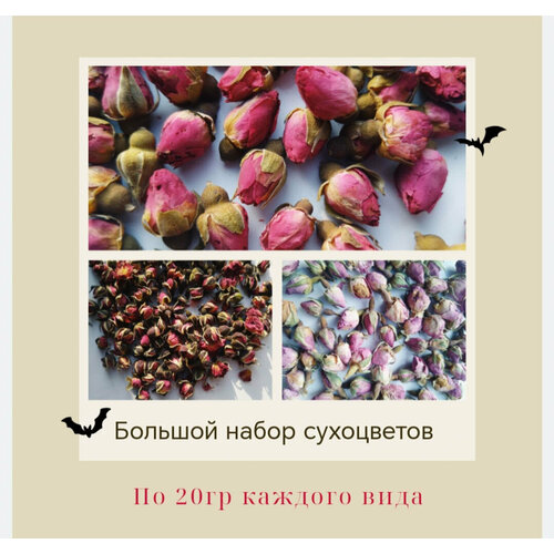 Большой набор сухоцветов роз