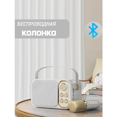 Караоке система детская с колонкой и изменением голоса