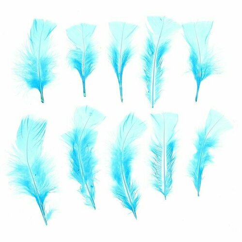 Набор перьев для декора 10 шт, размер 1 шт: 10 × 4 см, цвет голубой (комплект из 28 шт)