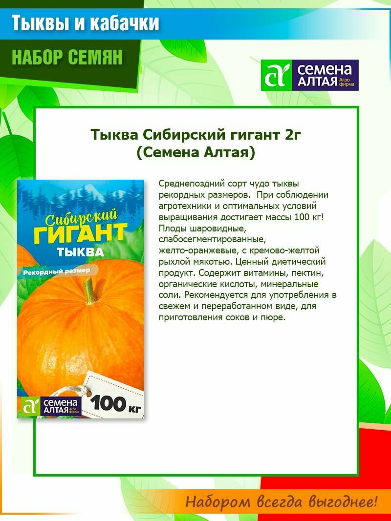 Набор семян тыкв 3 сорта и кабачков 3 сорта от компании Семена Алтая (6 пачек) — фото 1
