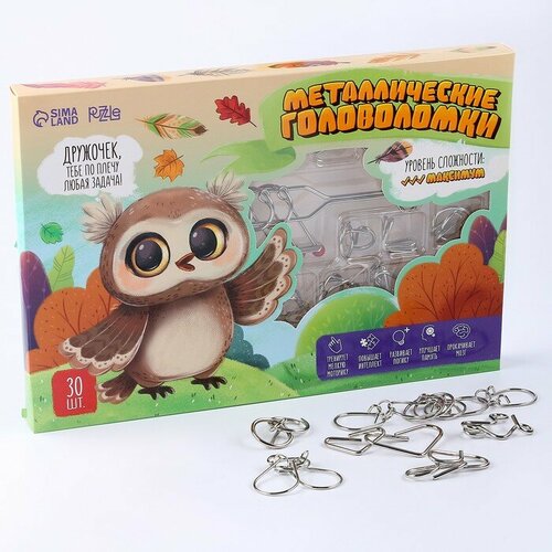 головоломка oubaoloon puzzle toys от 6 лет mf550 12b Puzzle Металлическая головоломка 30 шт «Сова»