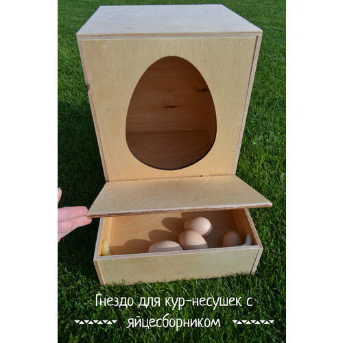 Гнездо для кур-несушек с яйцесборником гнездо для кур несушек пластиковое