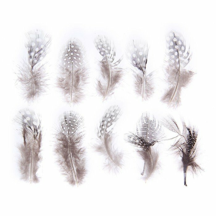 Набор перьев для декора 10 шт, размер 1 шт: 5 × 2 см, цвет коричневый с белым (комплект из 17 шт)