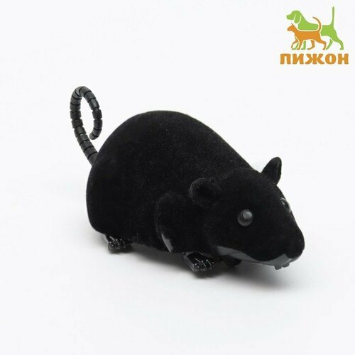 Мышь заводная бархатная, 12 см, чёрная (комплект из 7 шт)