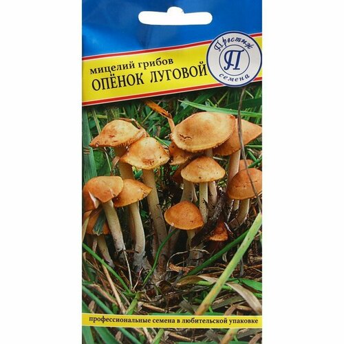 Мицелий Опенок Луговой, 12 палочек (комплект из 9 шт) семена грибы опенок зимний
