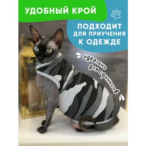 Одежда для животных кошек сфинкс и собак мелких пород, размер M